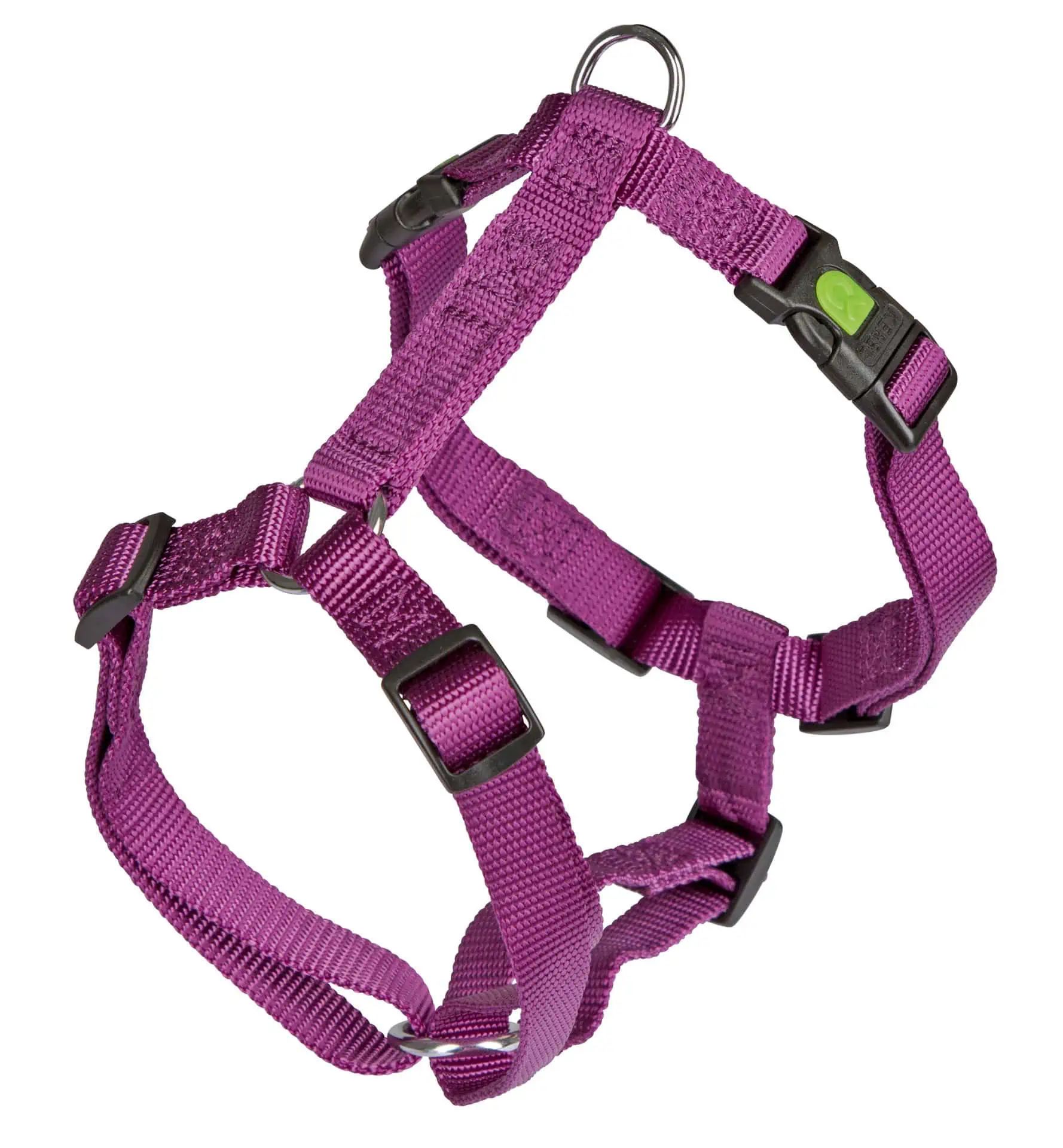 Geschirr MIAMI lila 15 mm x 30-40 cm
