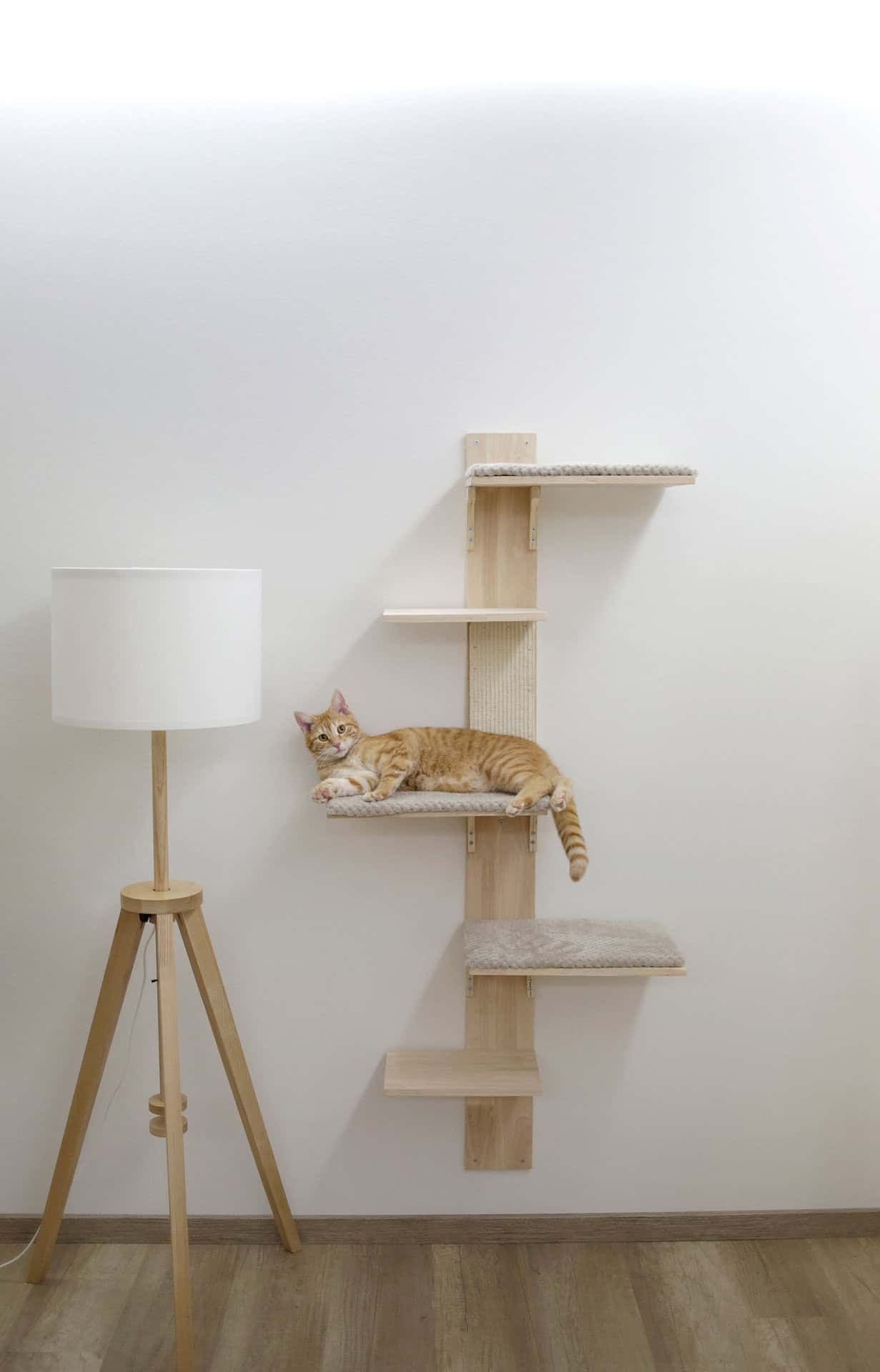Kerbl Wall Scratching Post TIMBER with Resting Areas, in use, indoors
