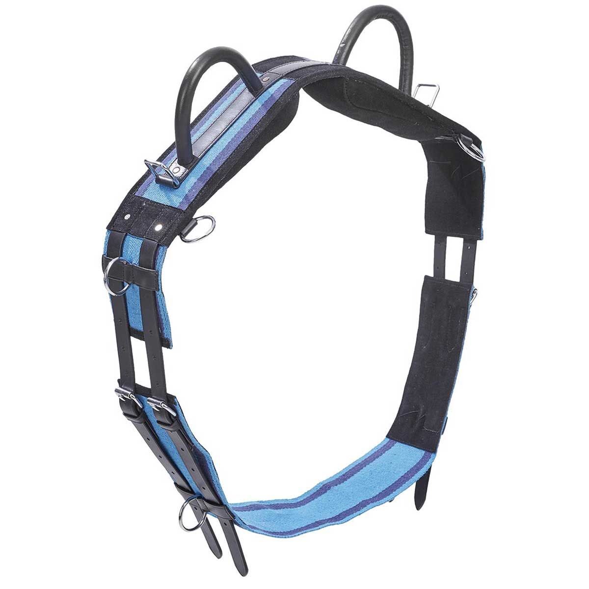 Surfaix BUSSE DOUBLE, longer en sécurité sans selle, bleu marine/bleu ciel Shetland