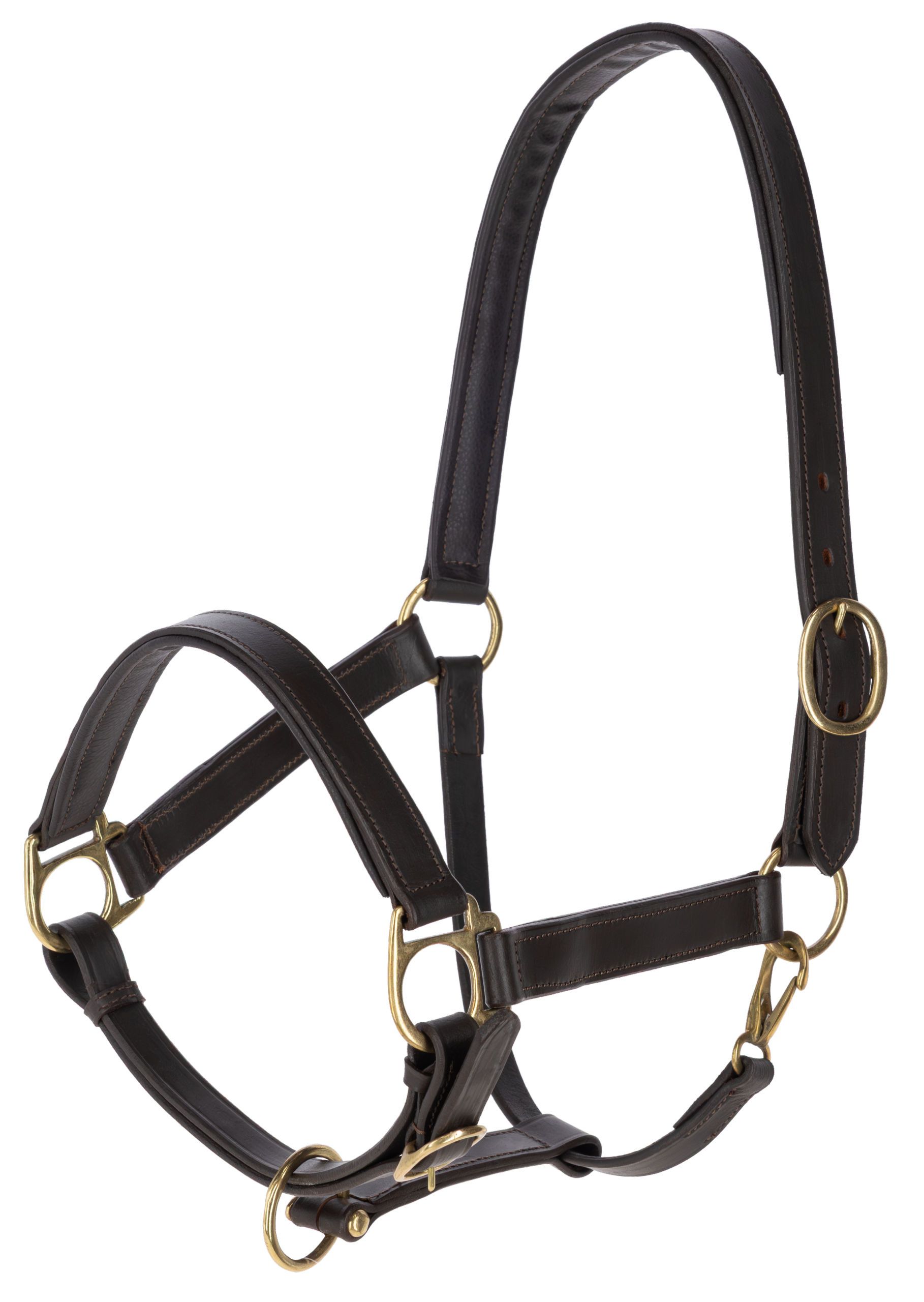 halter, horse, bridle, leather, metal-hardware