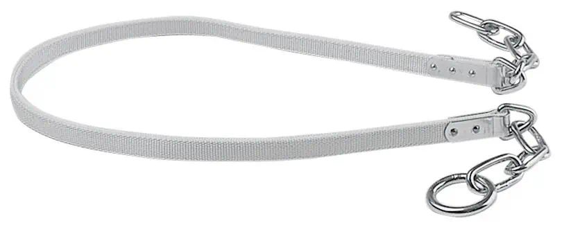 Attache pour bovins Typ W avec cosse métallique