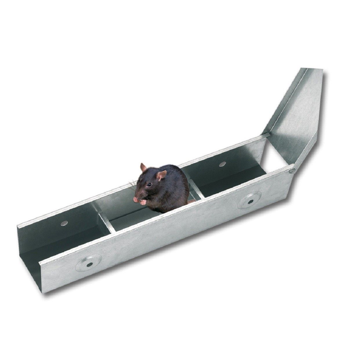 Kerbl Stazione Esca Topi Metallo BlocBox, 40 cm, zincata, in uso