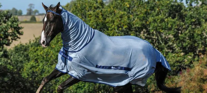 Coperte antimosche per cavalli