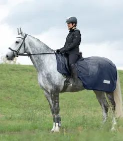 Reiterin mit Helm sitzt auf Schimmel mit dunkler Lendendecke auf einer Wiese