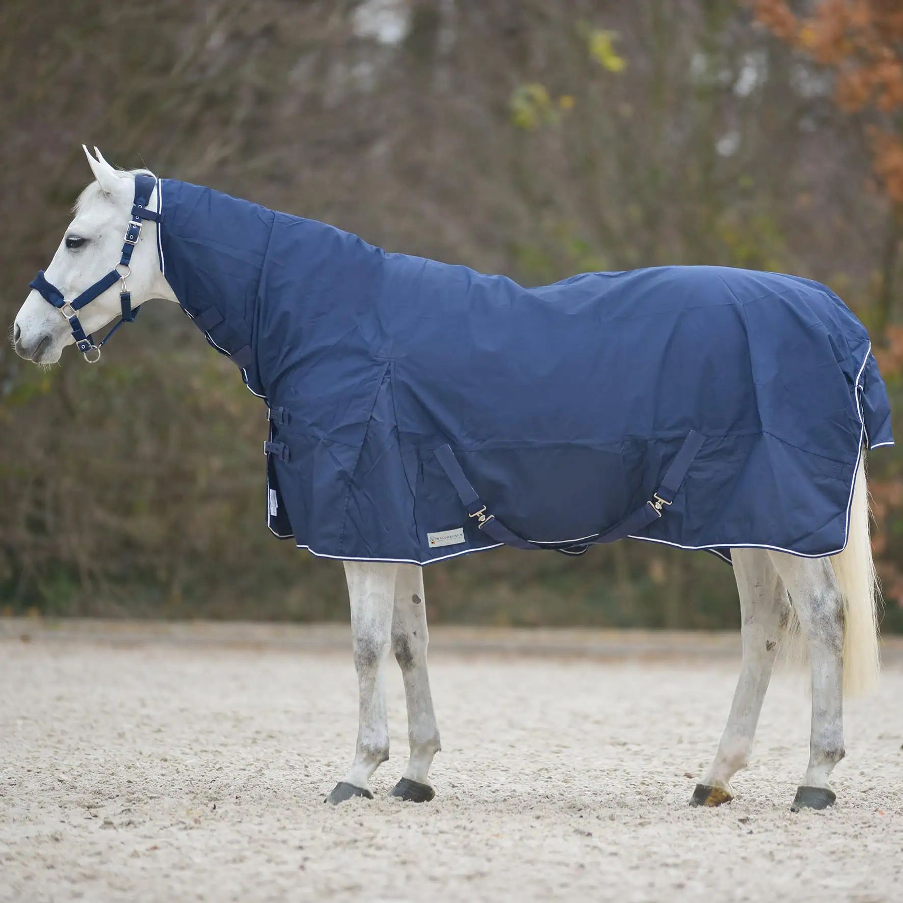 Couverture de pluie COMFORT Waldhausen avec couvre-cou, imperméable, en utilisation