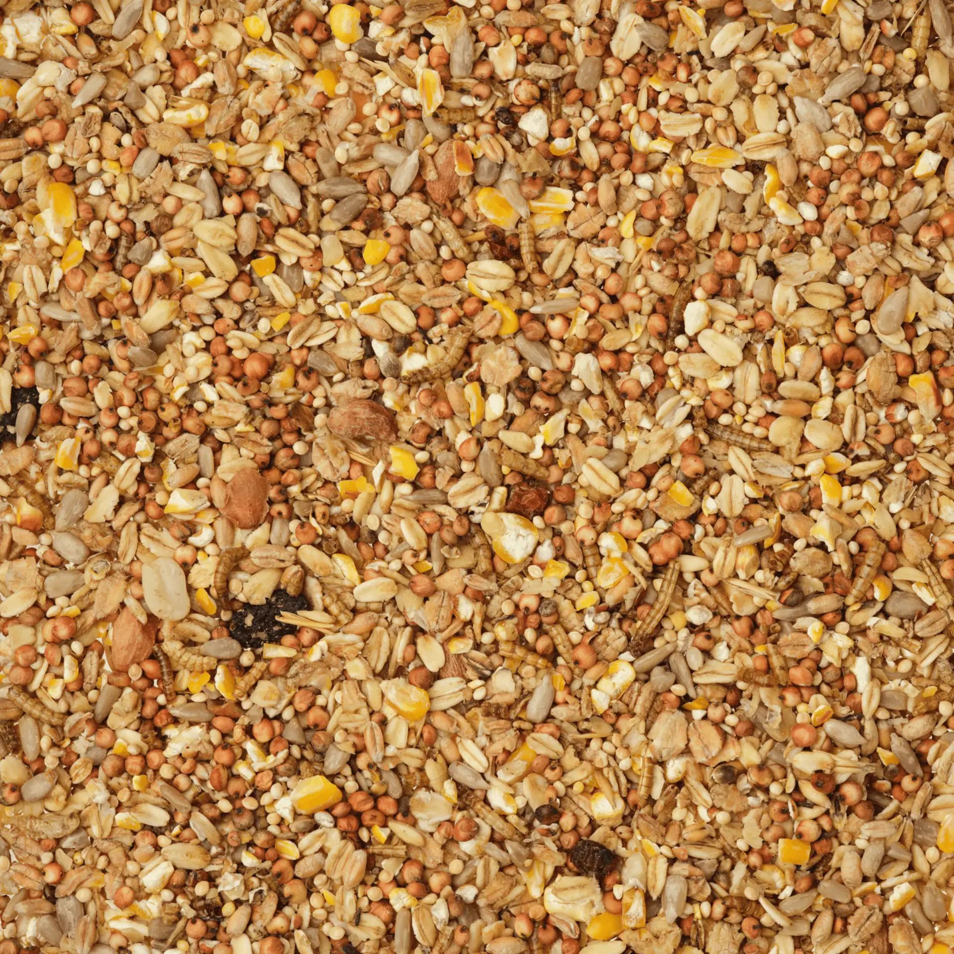 Leimüller Deluxe vadmadáreledel rovarokkal, részlet, anyag