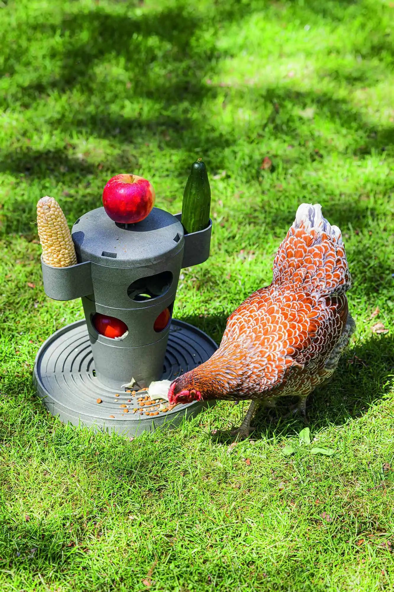 Tour de Snacks pour Poules de Beeztees, en utilisation