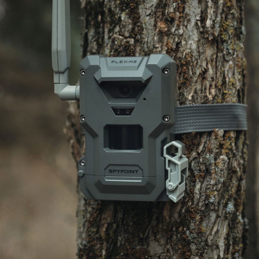 SPYPOINT FLEX-M2 trail camera 2-pack, on a tree in a winter hunting ground