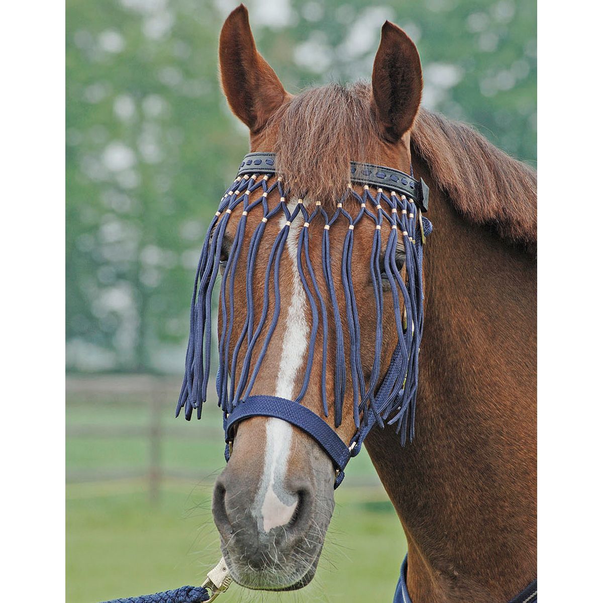 BUSSE Fliegenkordelband EXKLUSIV, Leder mit Nylonfransen, navy Warmblut