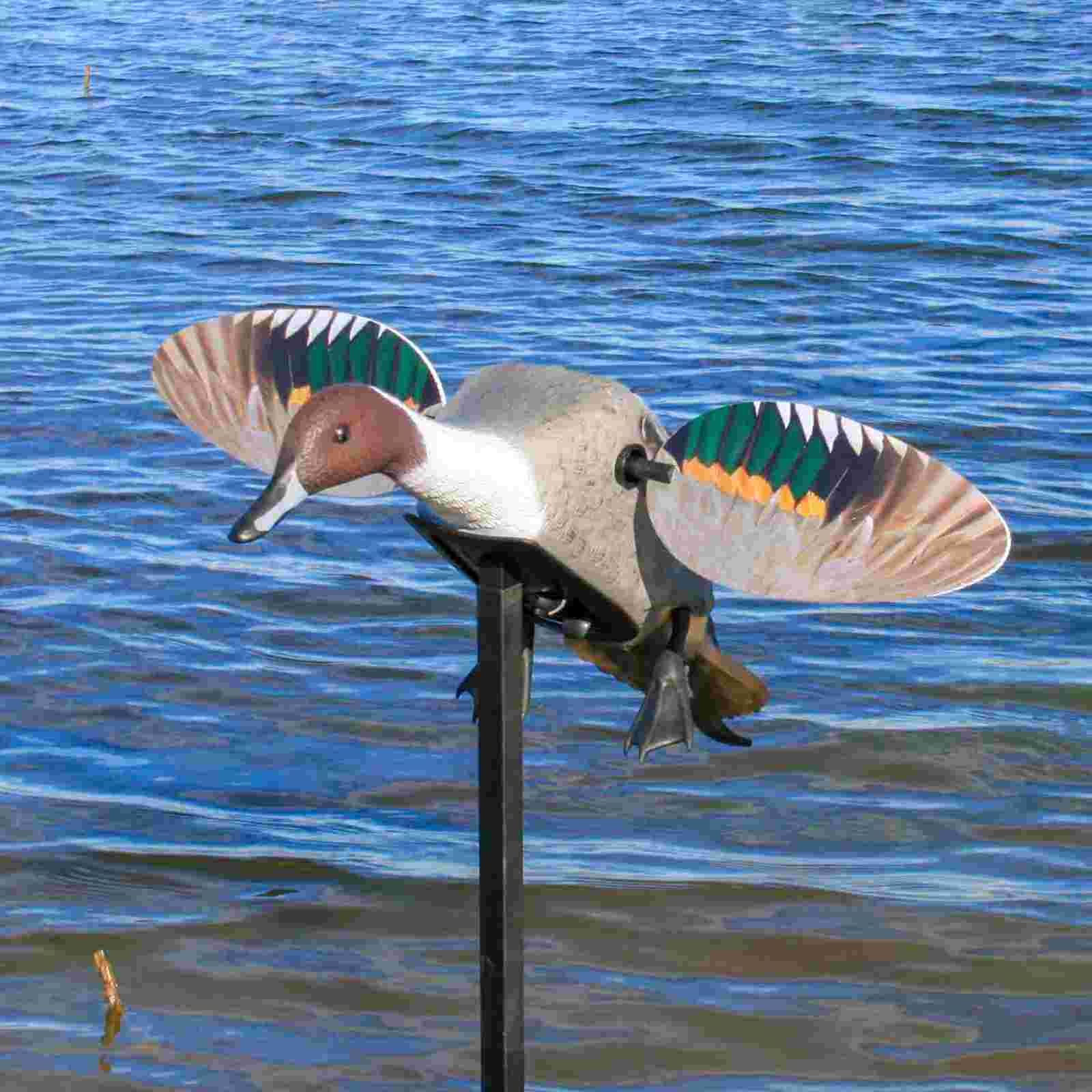 Mojo ES Pintail Vogelattrappe, im Einsatz