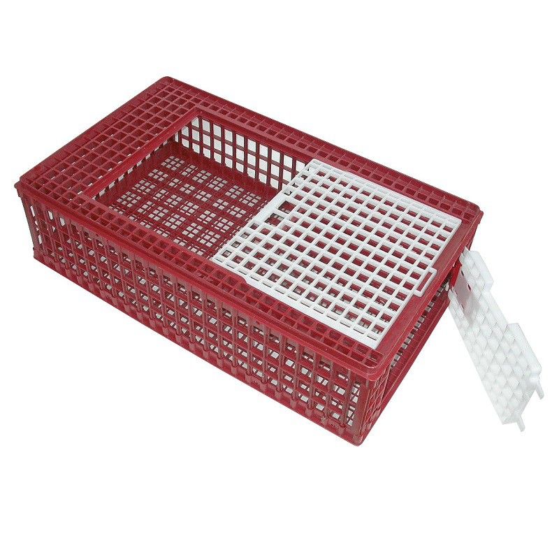 Kerbl Geflügel Transportbox, bruchsicherer Kunststoff, stapelbar