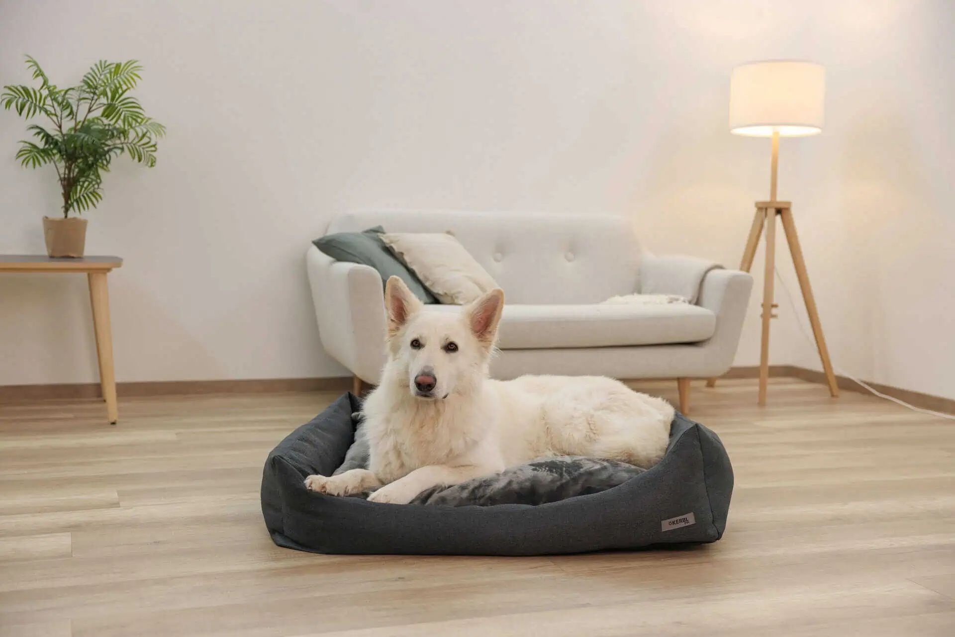 Kerbl Snugly Bed Platin Ortho Orthopaedic Dog Bed with Memory Foam, in use, indoors