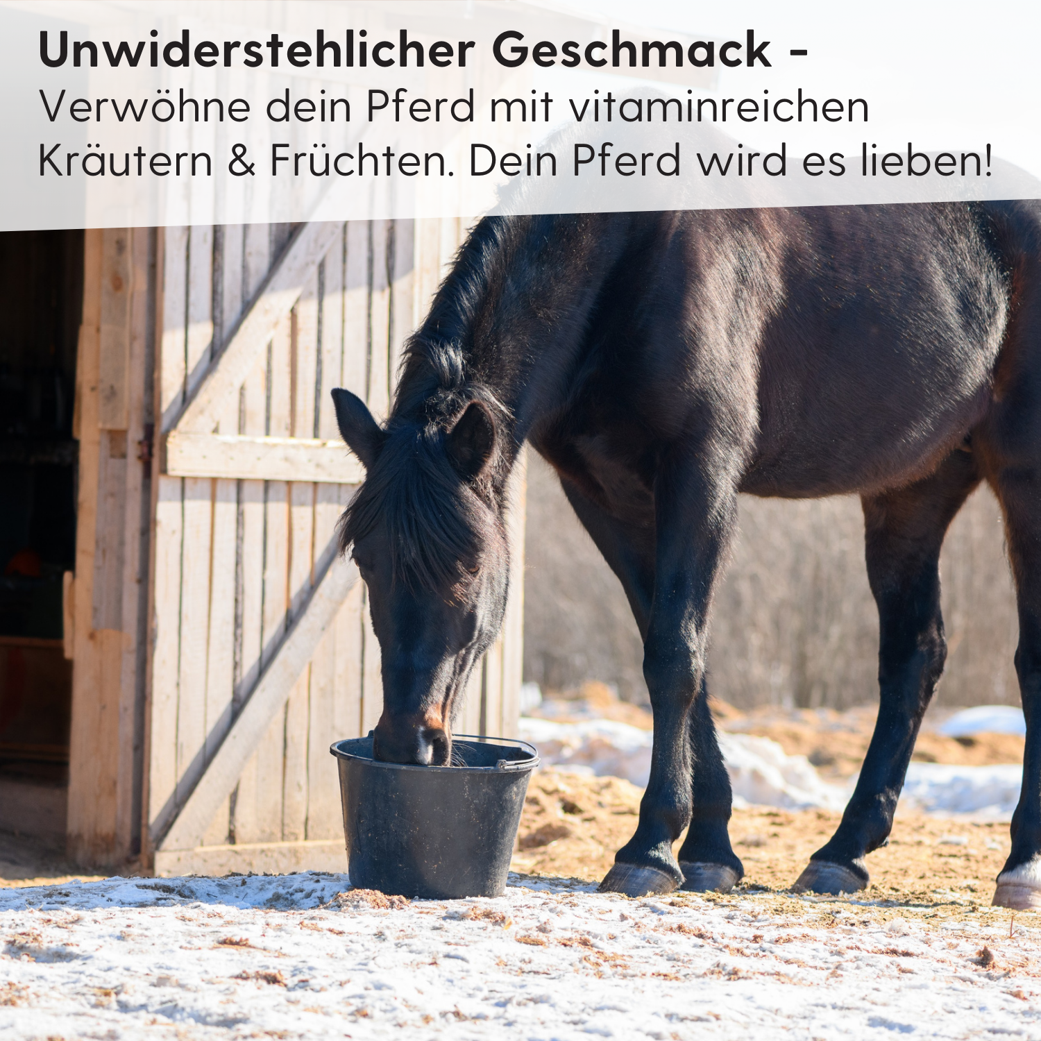 Leimüller horse food fruit mix with herbs 20 kg, in use, in the stable