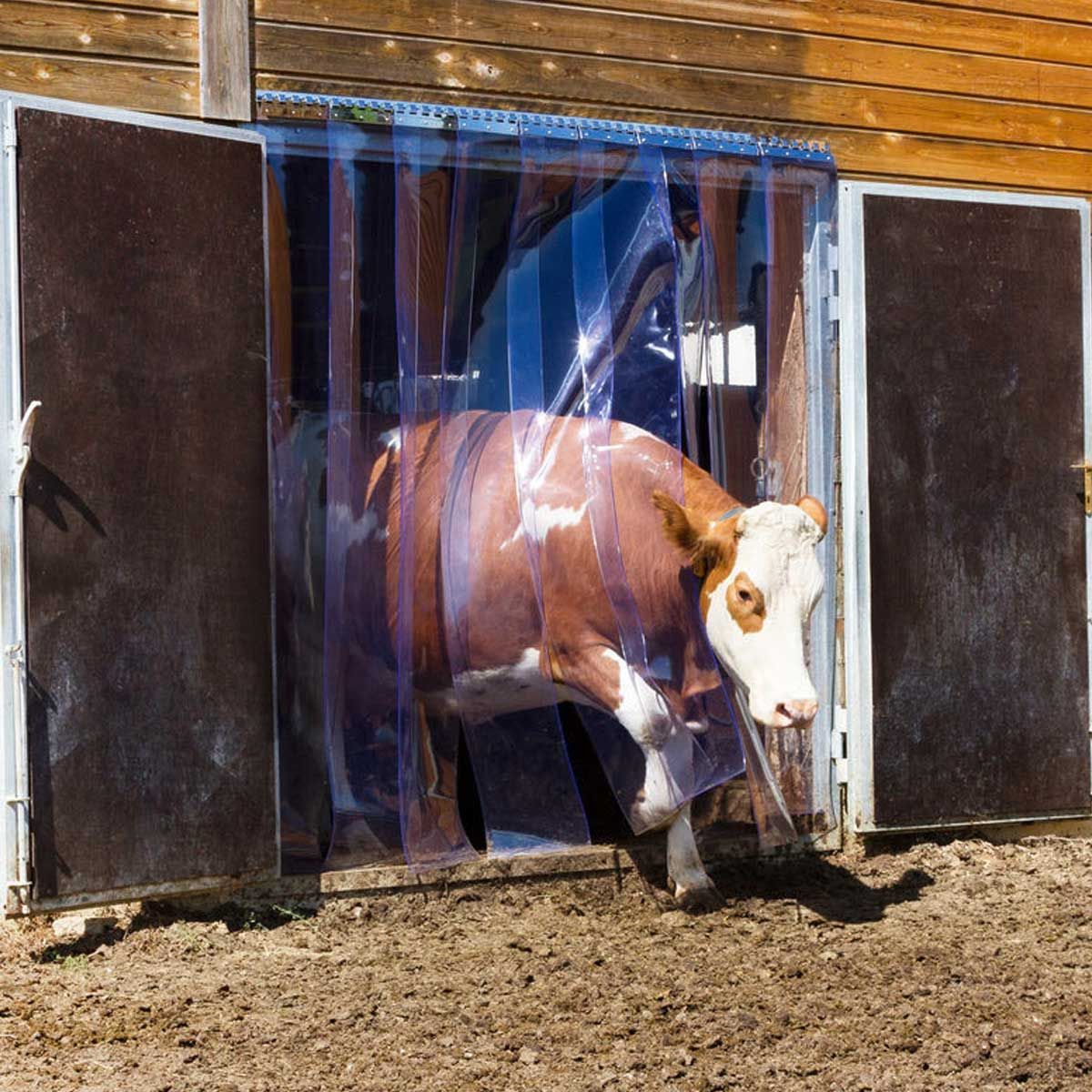 Kerbl Ersatz-PVC-Streifen für Streifenvorhang, 30 x 225 cm, im Einsatz, im Stall