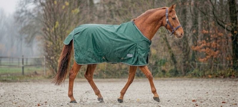 Outdoor- & Regendecke