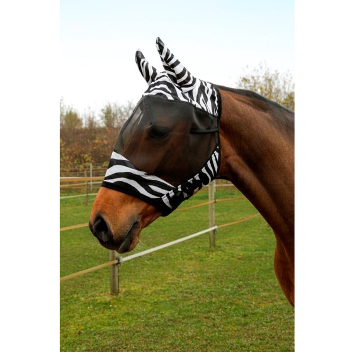Covalliero Zebra légyvédő maszk lovaknak, fülvédővel, Cob