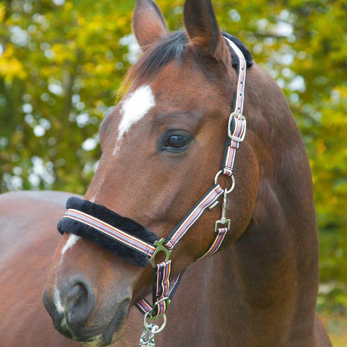 Halter with faux fur, in use