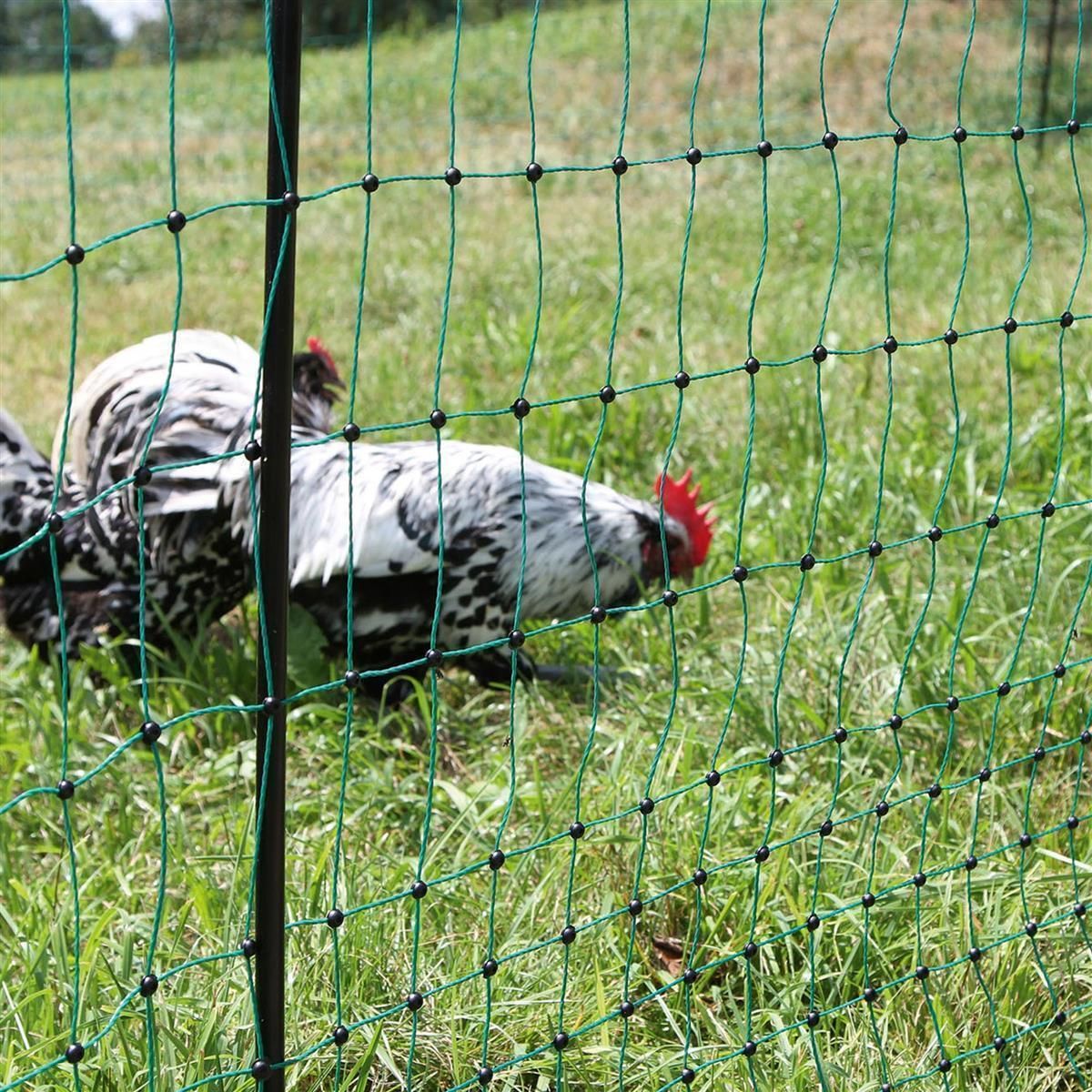 AKO Poultrynet Fågelnät Elektrifierbart Grönt 112cm, i användning