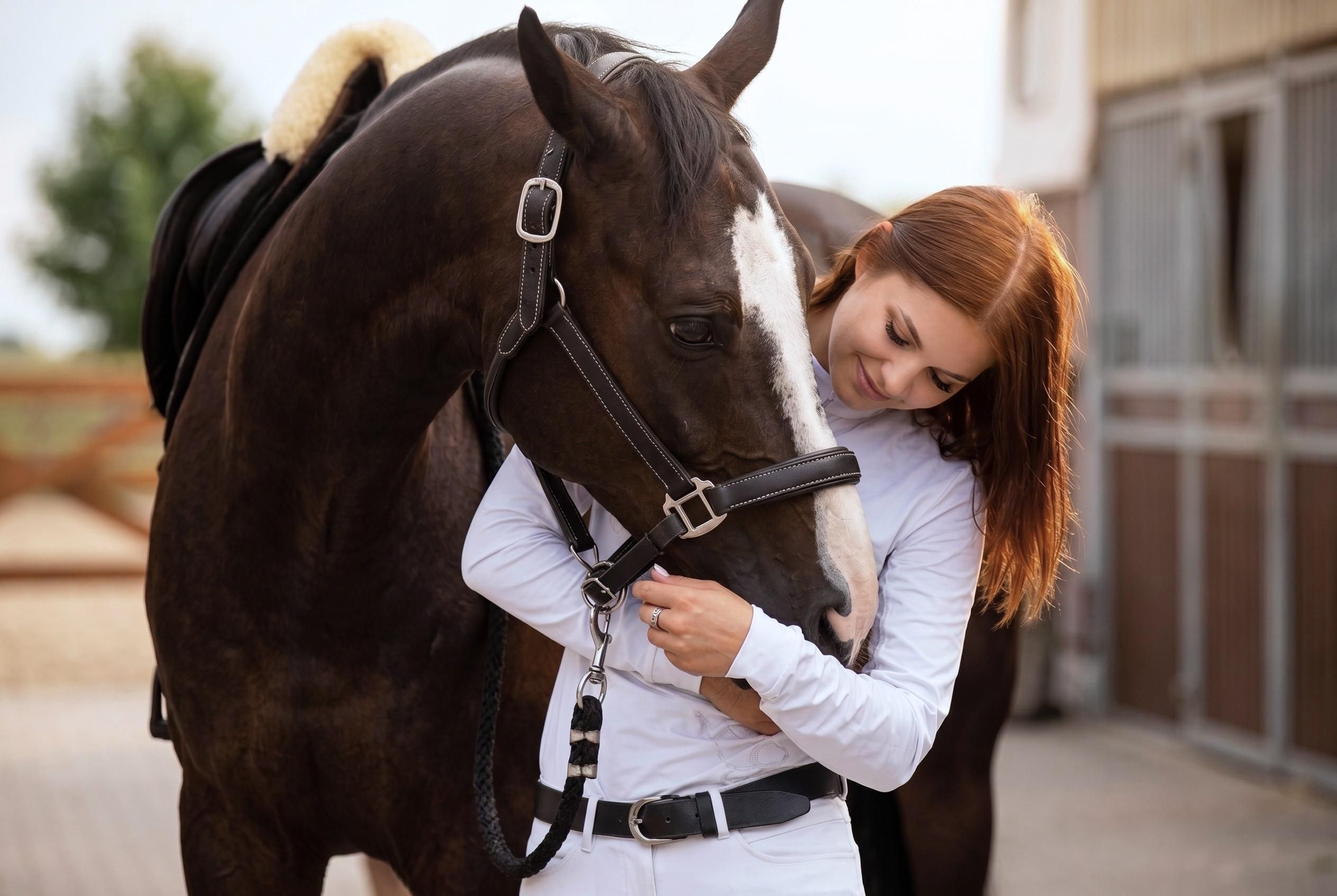 horse, horse tack, bridle, saddle, rider