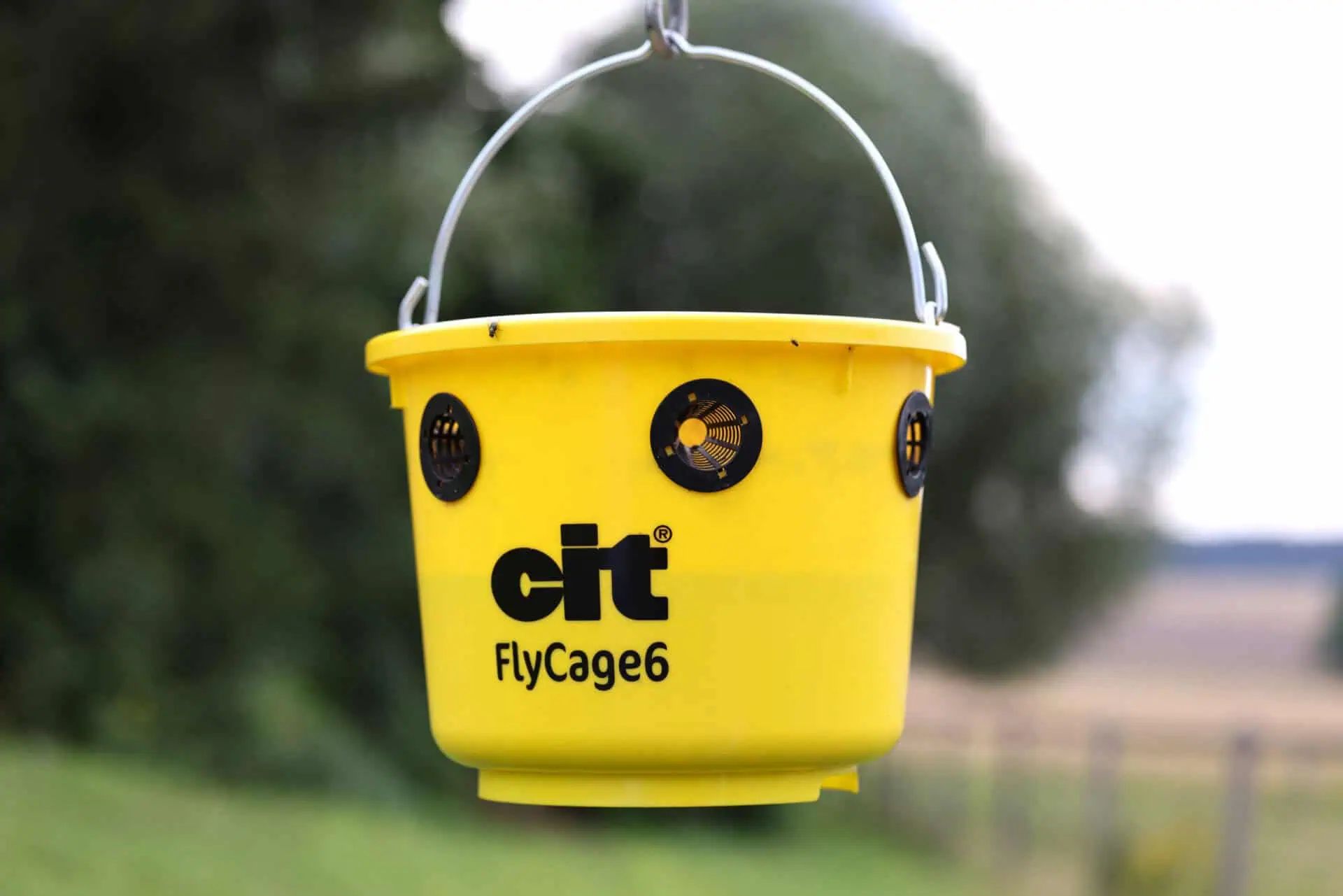 cit Trappola per mosche FlyCage6 per pascolo e giardino con esca, vista frontale