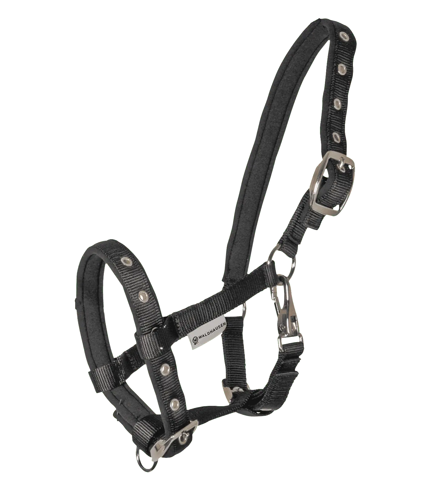 Licol pour Poulain Confort