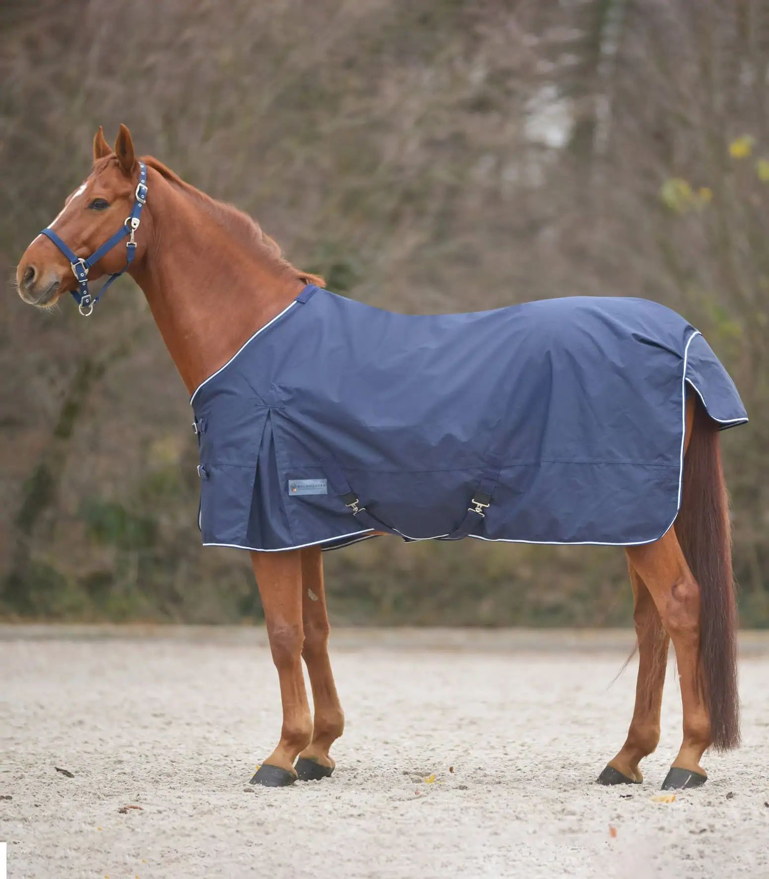 Waldhausen COMFORT Turnouttäcke med kryssremmar, nattblå, 145 cm