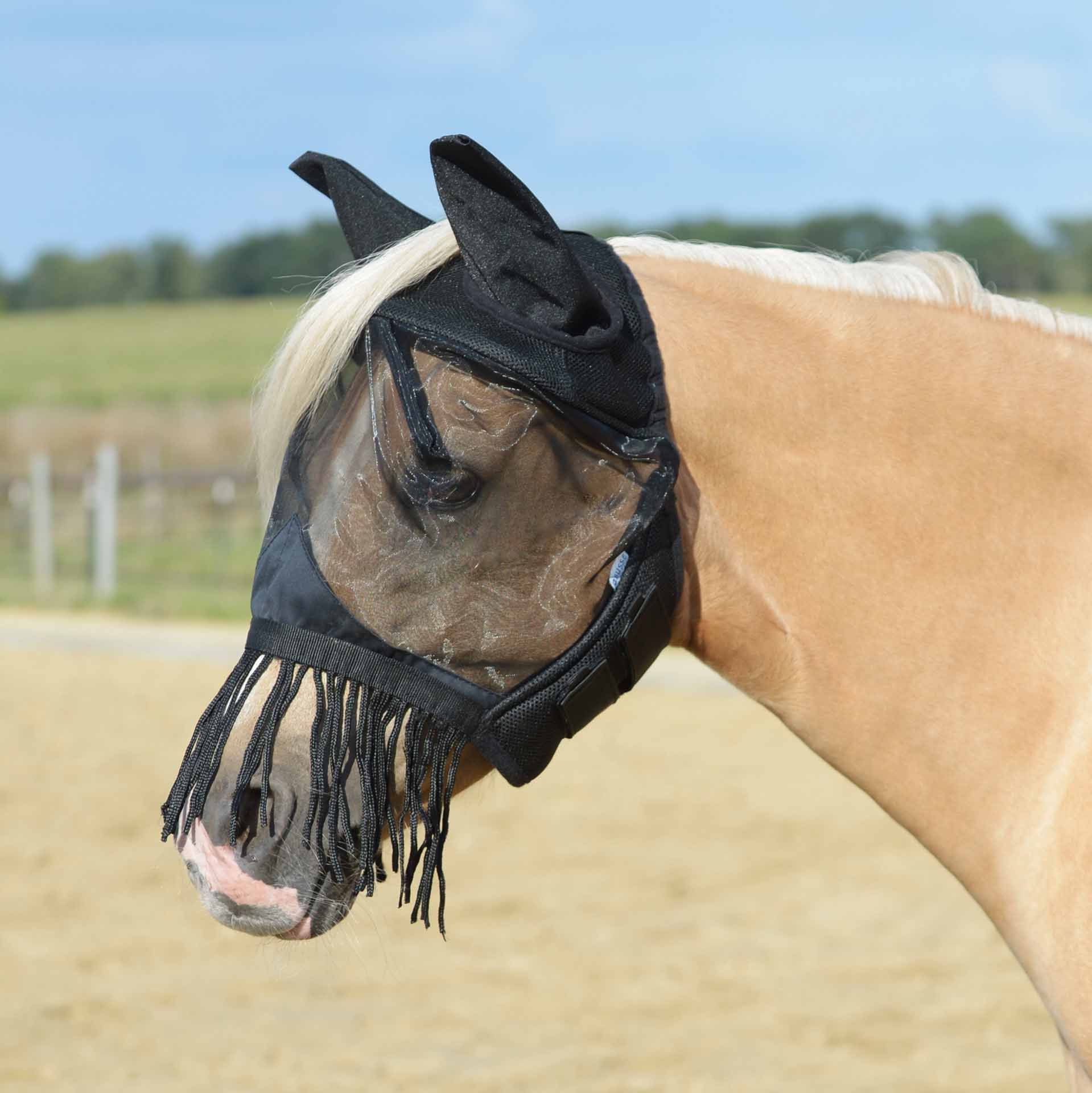 Masque anti-mouches BUSSE FLY COVER FRANSEN GAP II, protection complète, en utilisation, au pré