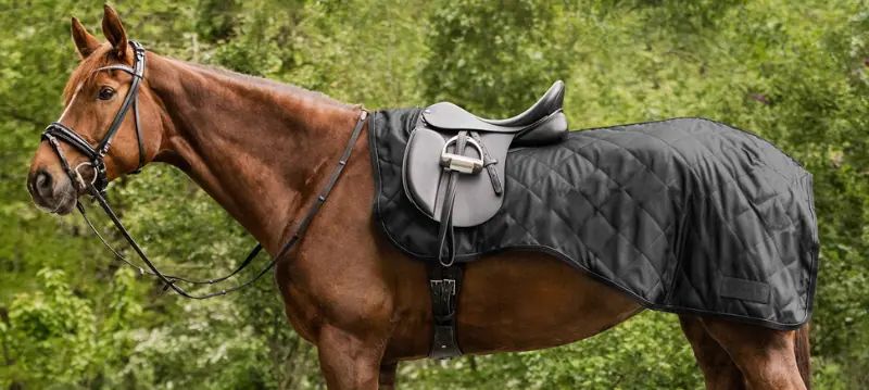 Couvre-reins d'équitation