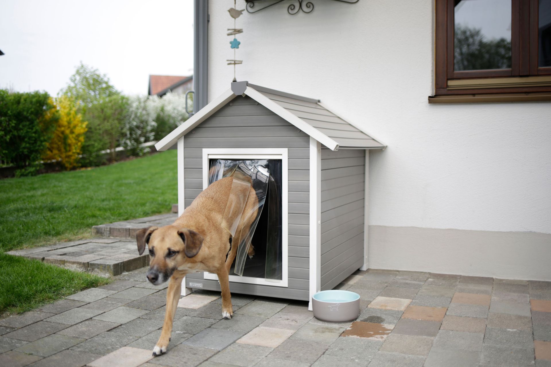 Kerbl Cuccia per cani ECO hendry, in uso