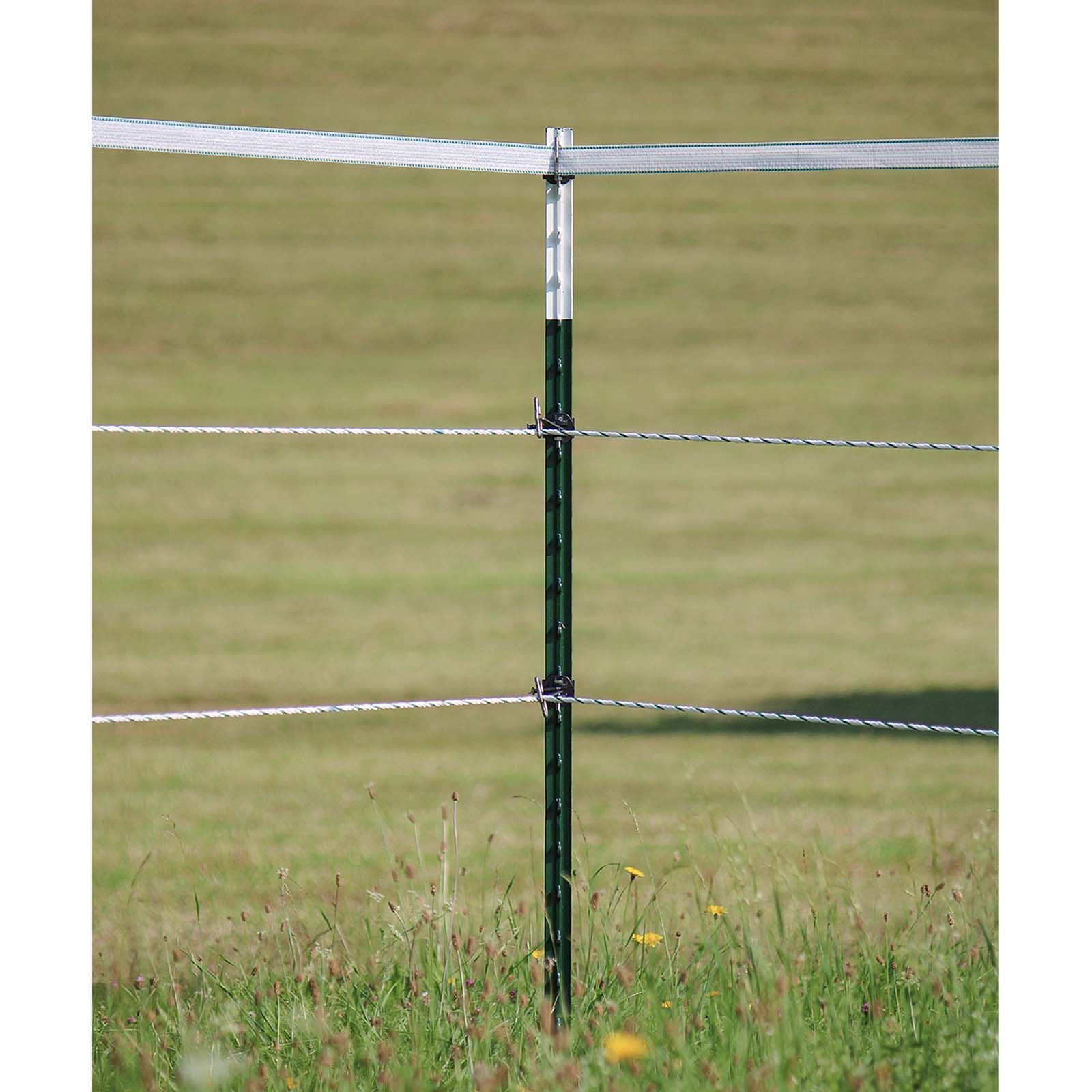 AKO Isolateur d'angle T-Post pour ruban, corde, fil, lot de 4, en utilisation, au pré