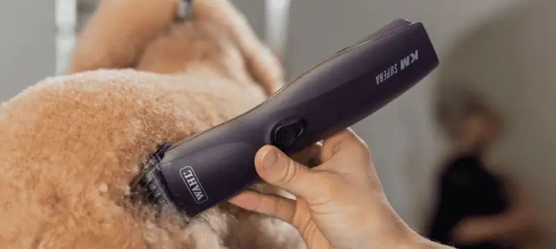 Wahl Cordless Clipper