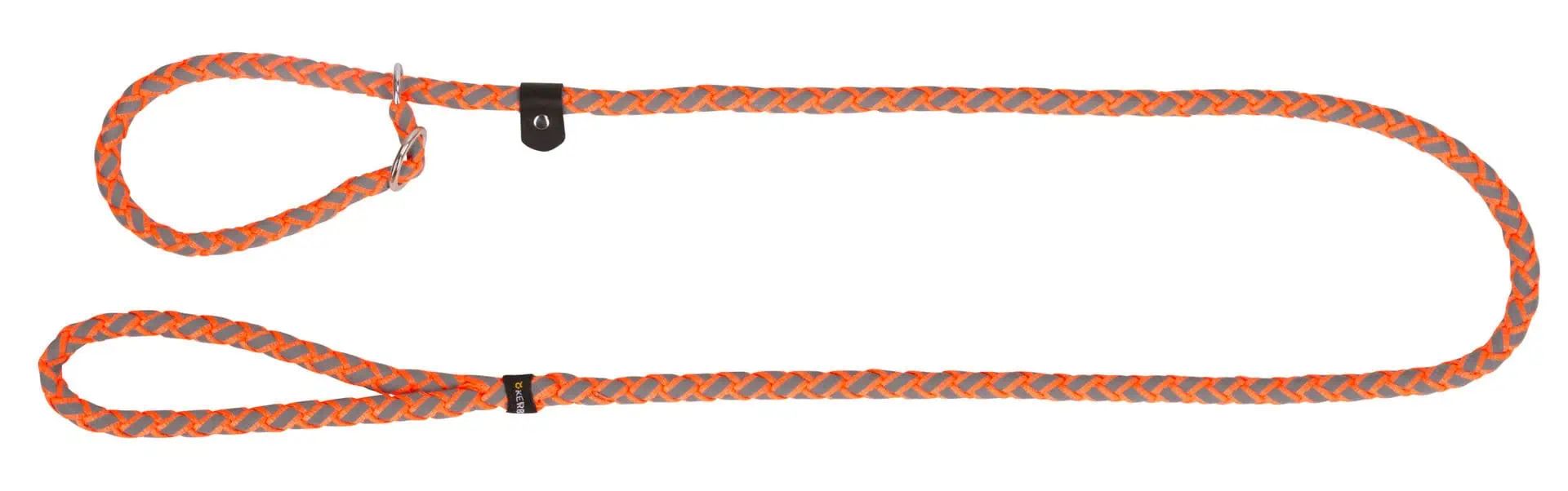 Laisse-collier Kerbl Maxi Safe pour chiens, 170 cm, réfléchissante