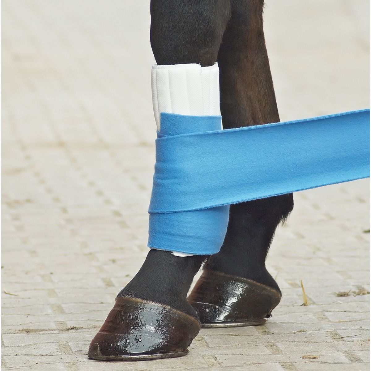 BUSSE Coussinets pour bandages klett