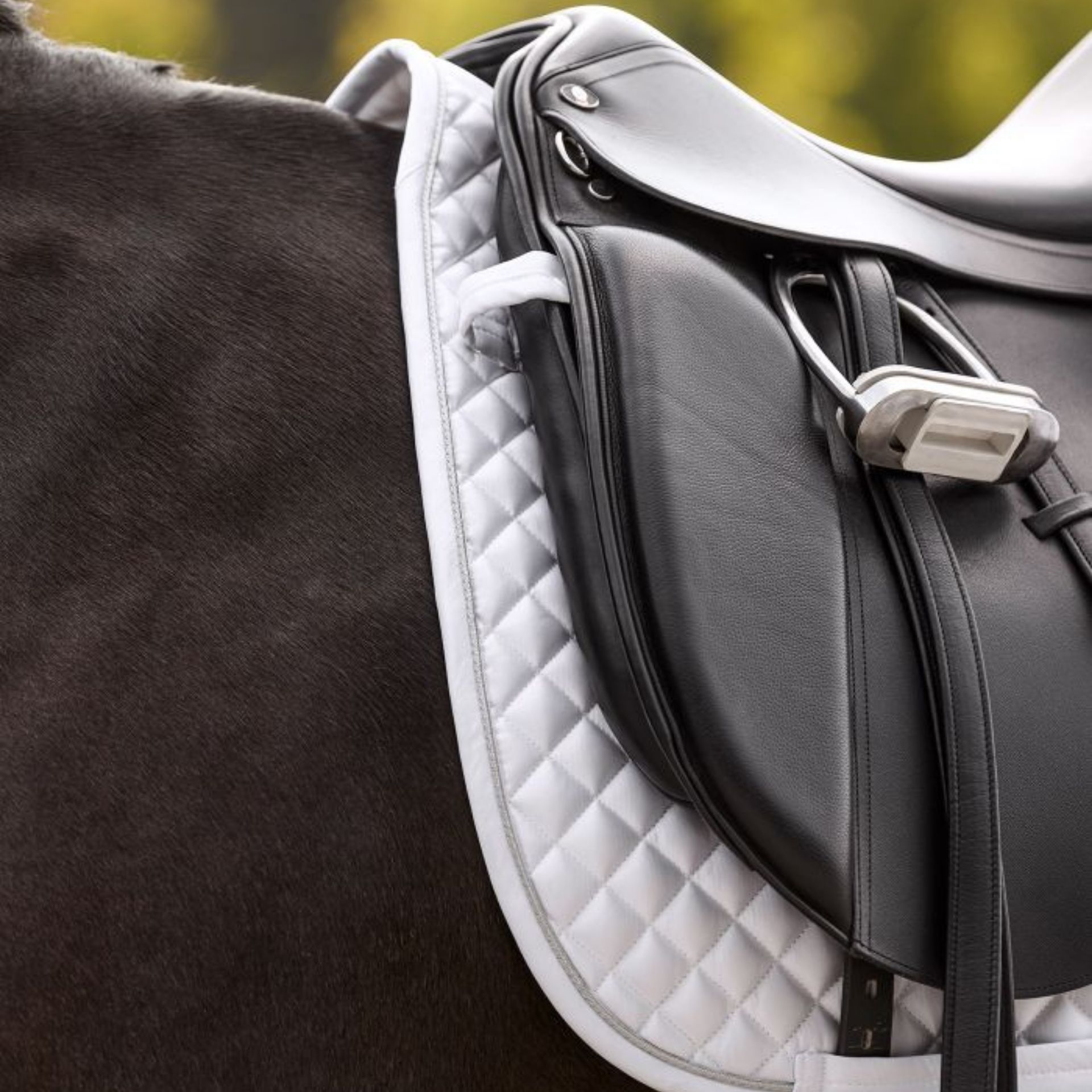 equestrian, saddle, black, stitching, girth