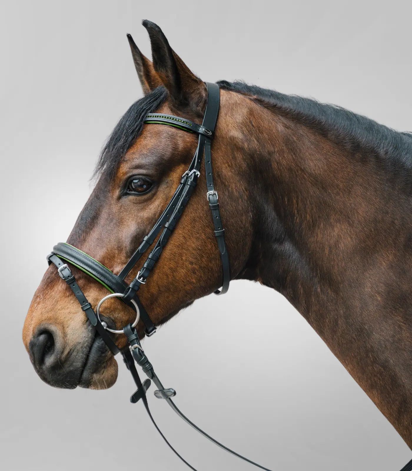 Bridon STAR Diamond, combiné anglais avec muserolle et chaînette, Pony, vert