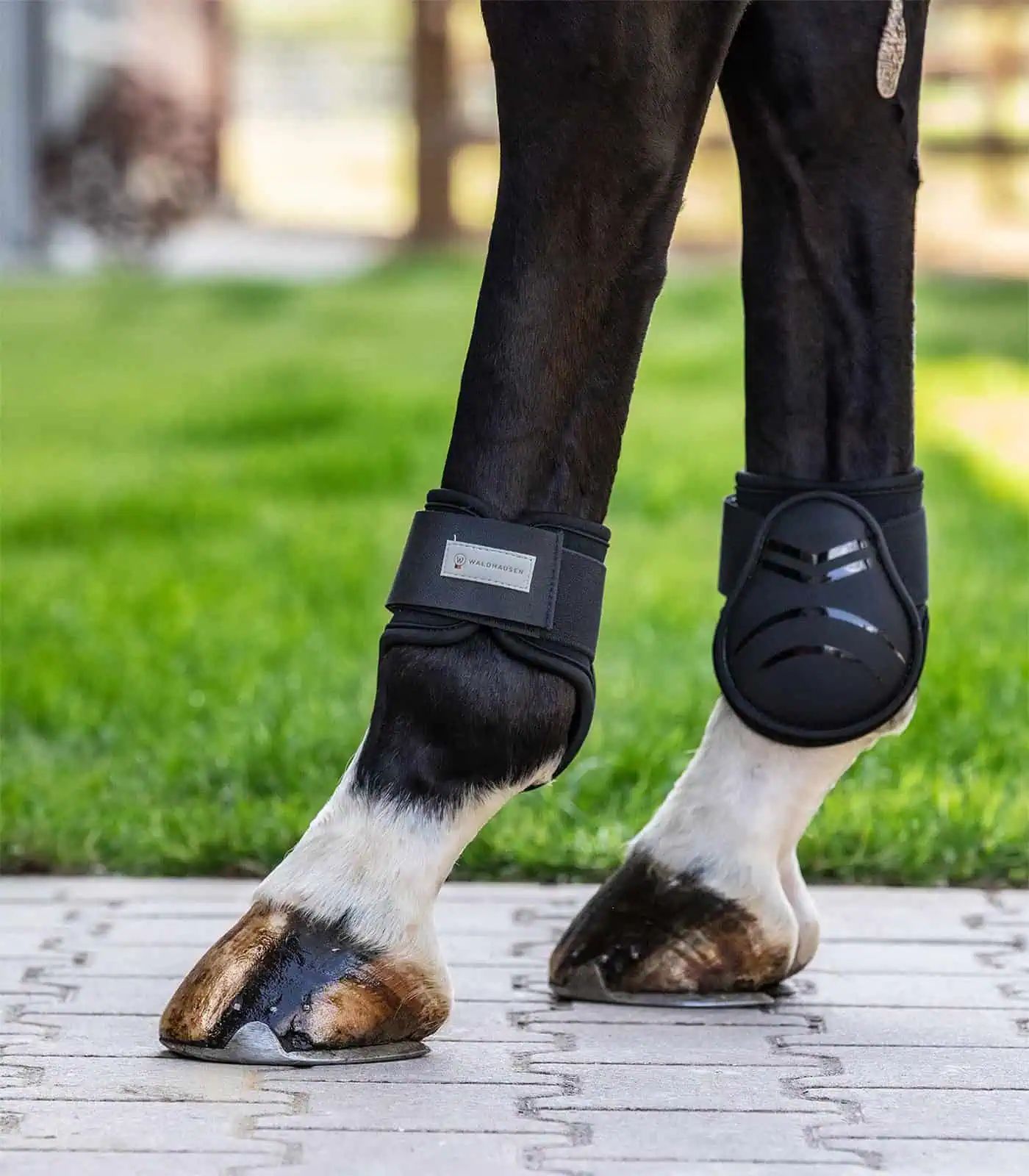Waldhausen Csánkápa Basic Plus – puha anyag formakanállal, pár, M