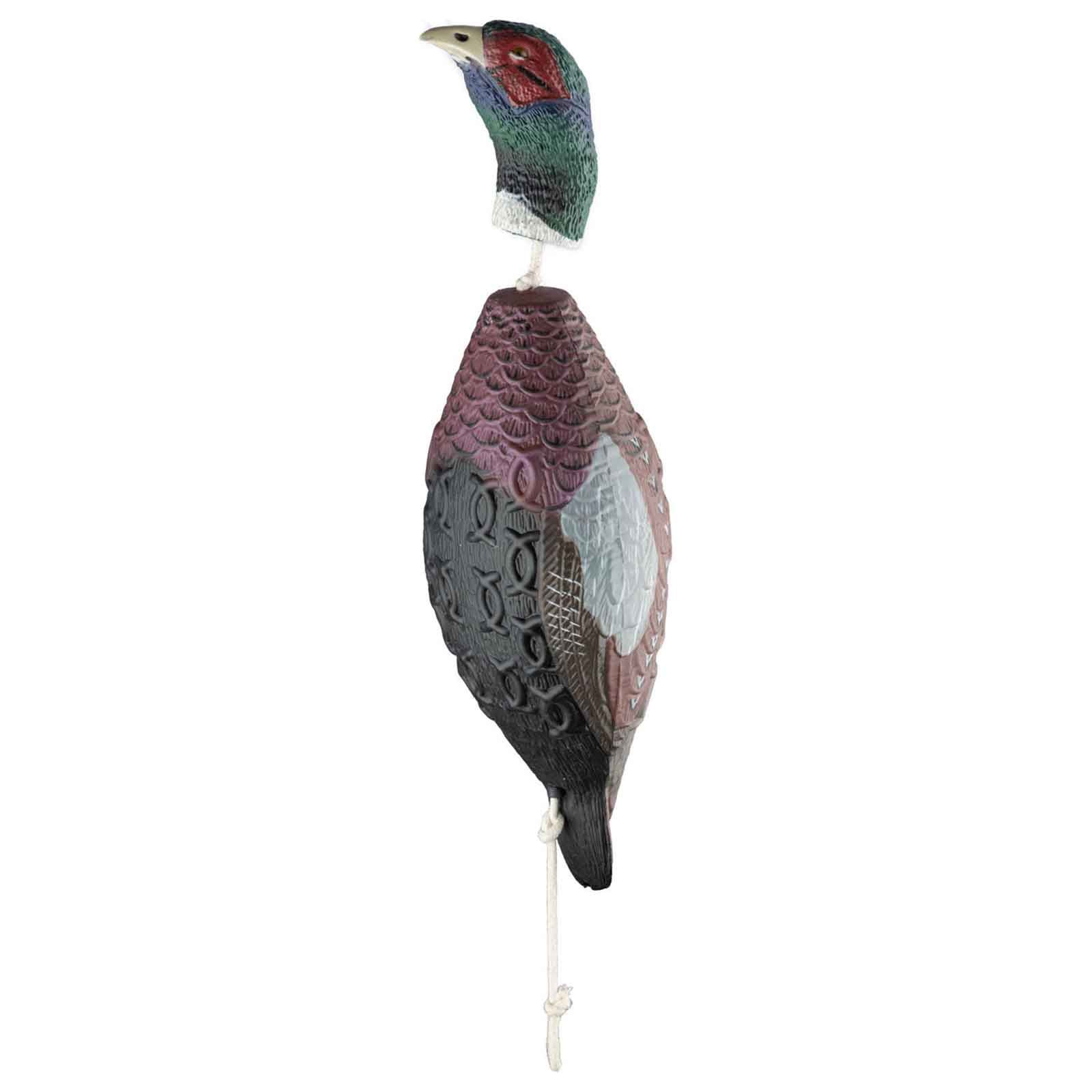 HP&G Training Tool Pheasant