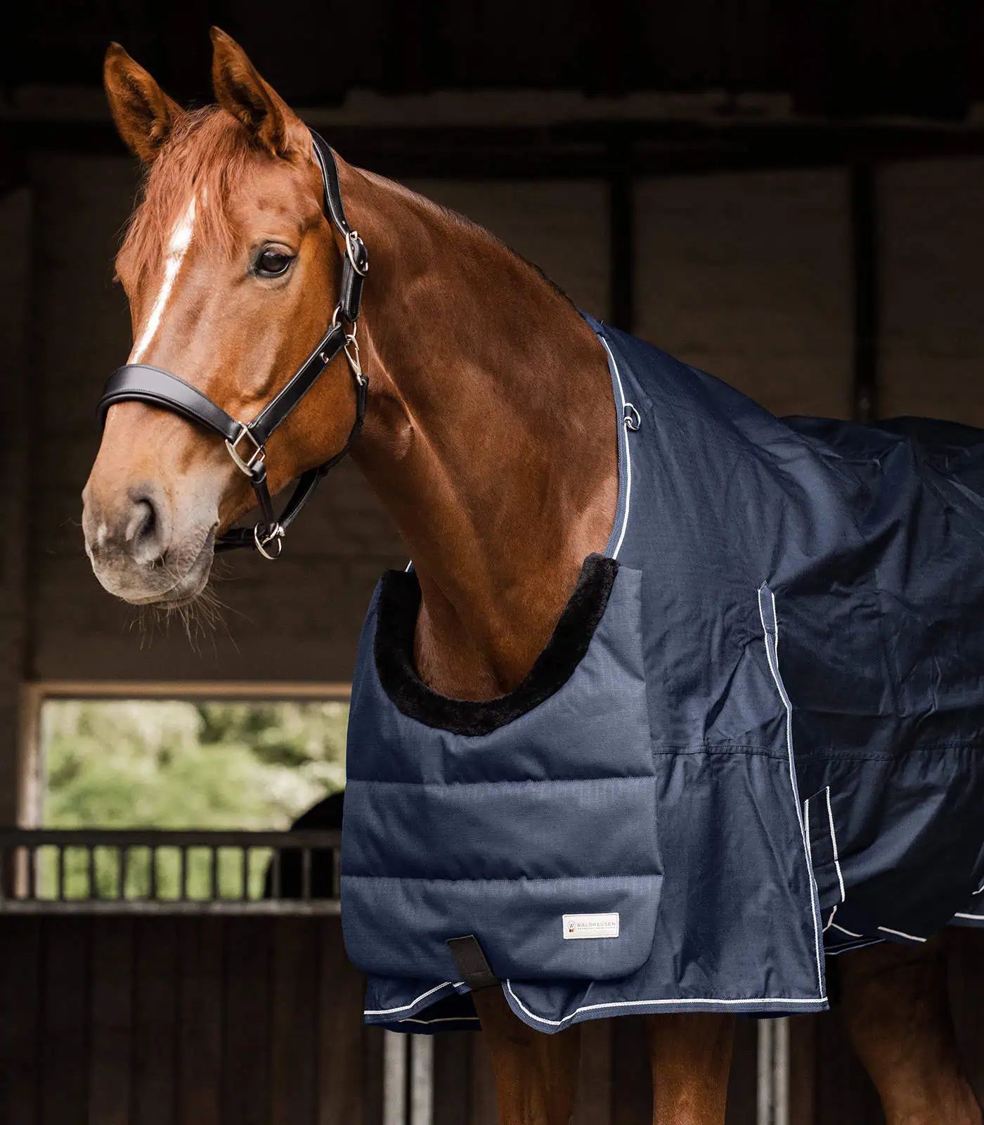 Protège-poitrail Waldhausen pour cheval, bordure fausse fourrure, bleu nuit