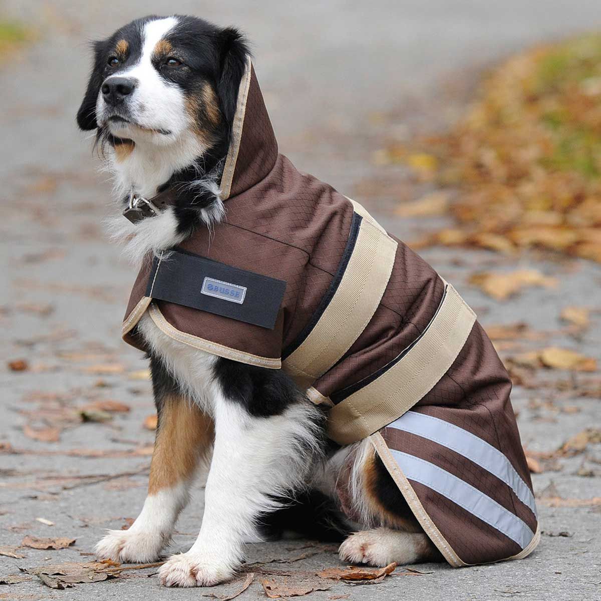 BUSSE Dog Raincoat MOVE, Waterproof & Windproof Protective Coat, in use