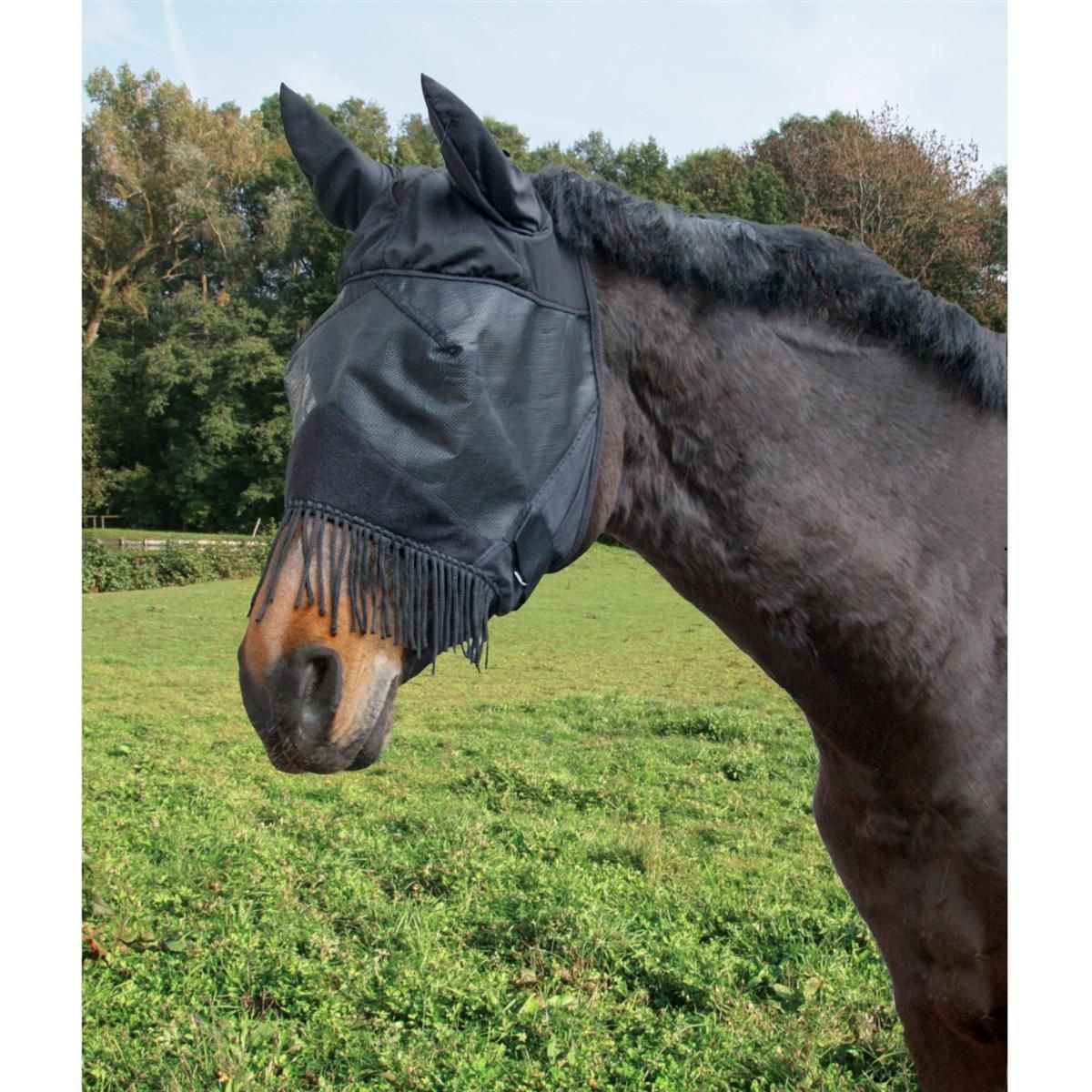 Fliegenmaske mit Ohrenschutz Nüsternschutz Schwarz COB