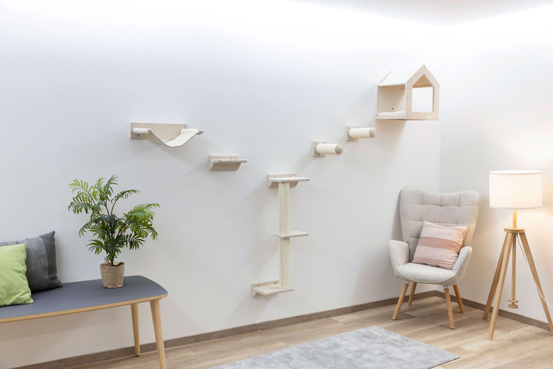 Kerbl Vägghylla katt Monte Falco, klättervägg 10 delar, beige, i användning, inomhus