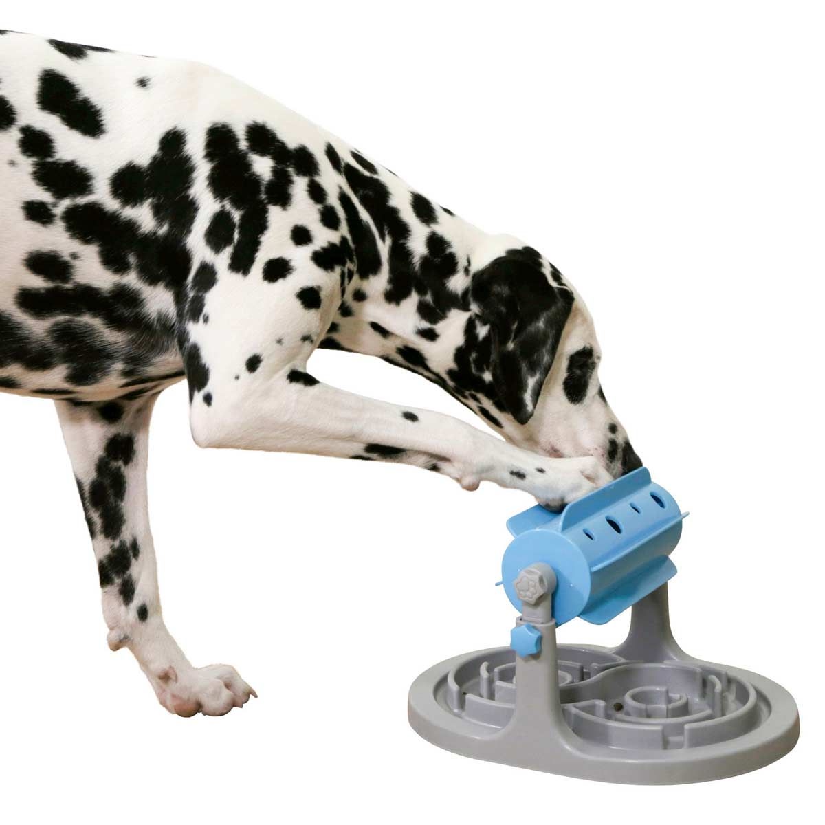 Kerbl Ciotola Snack Roll Anti-Ingozzamento, regolabile in altezza per cani, in uso