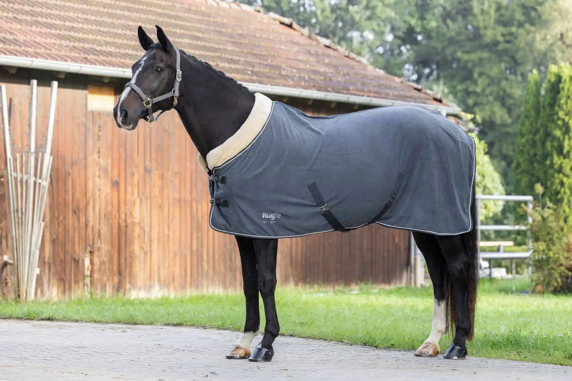 Covalliero Pătură Fleece RugBe Royal, Pătură Antitranspirație cu Guler Teddy, în utilizare