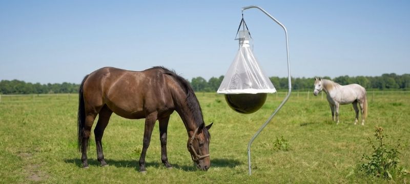 Horsefly trap