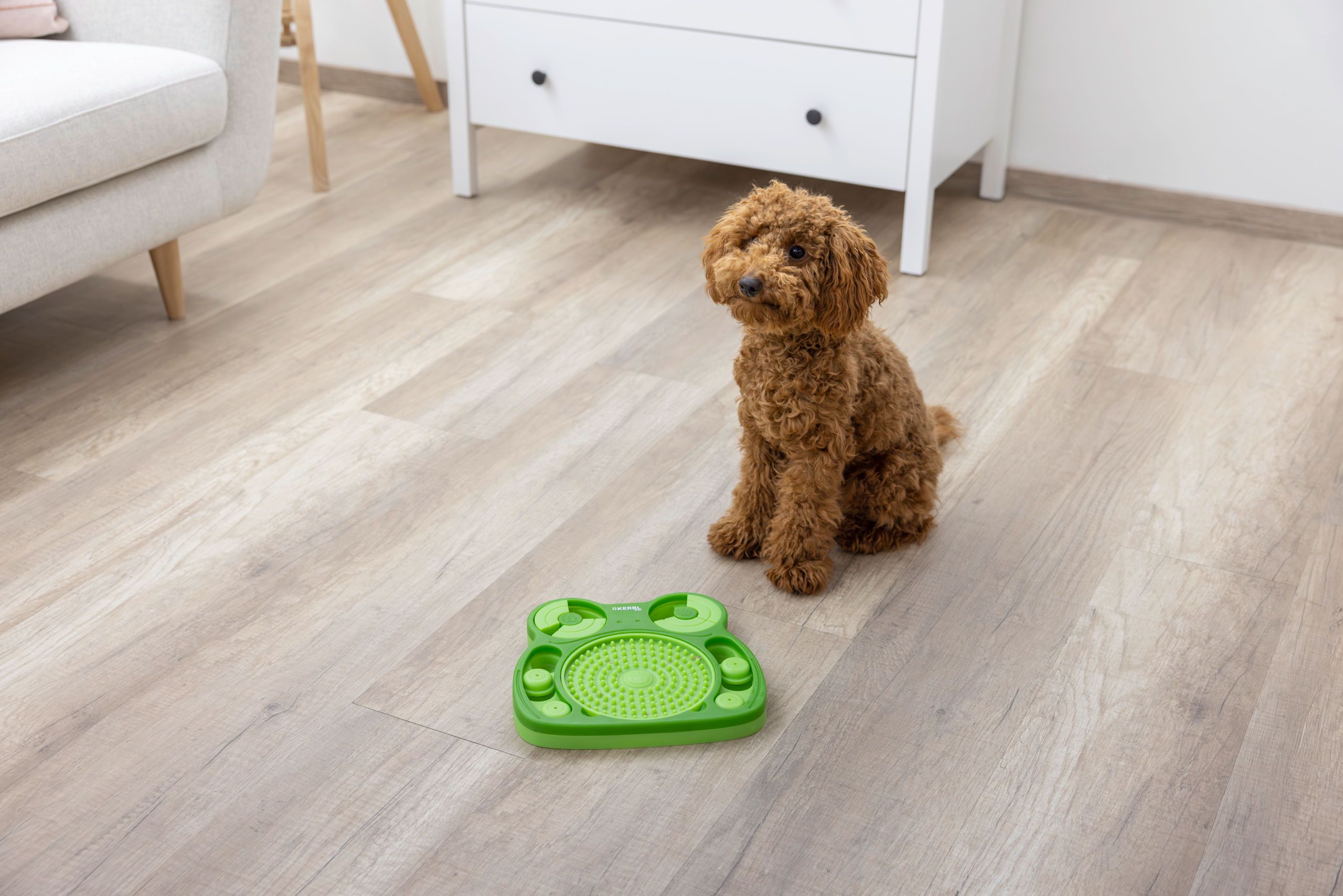 Kerbl Pet Intelligenzspielzeug Frosch mit Schleckteller, 24,5 cm