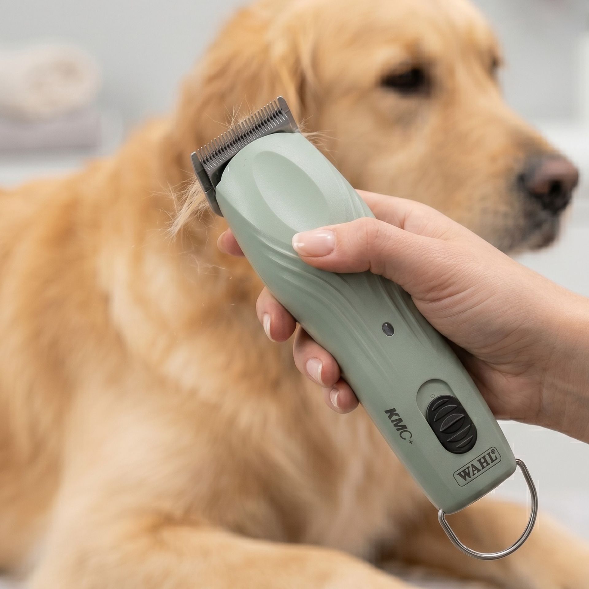 pet grooming, dog clipper, hair trimmer, corded, light green