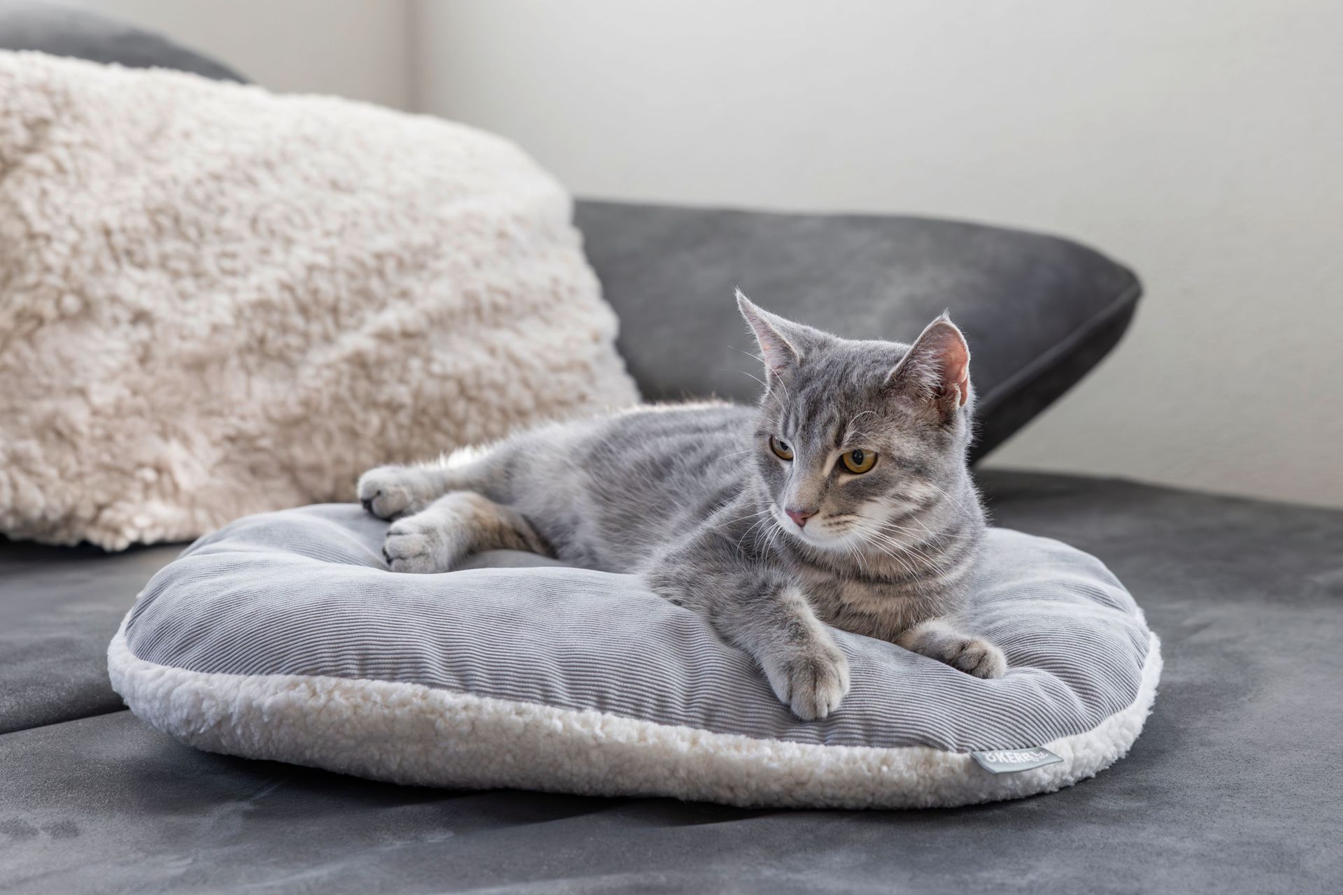 Kerbl Zoe cuscino reversibile per cani e gatti, peluche & velluto, in uso, in casa