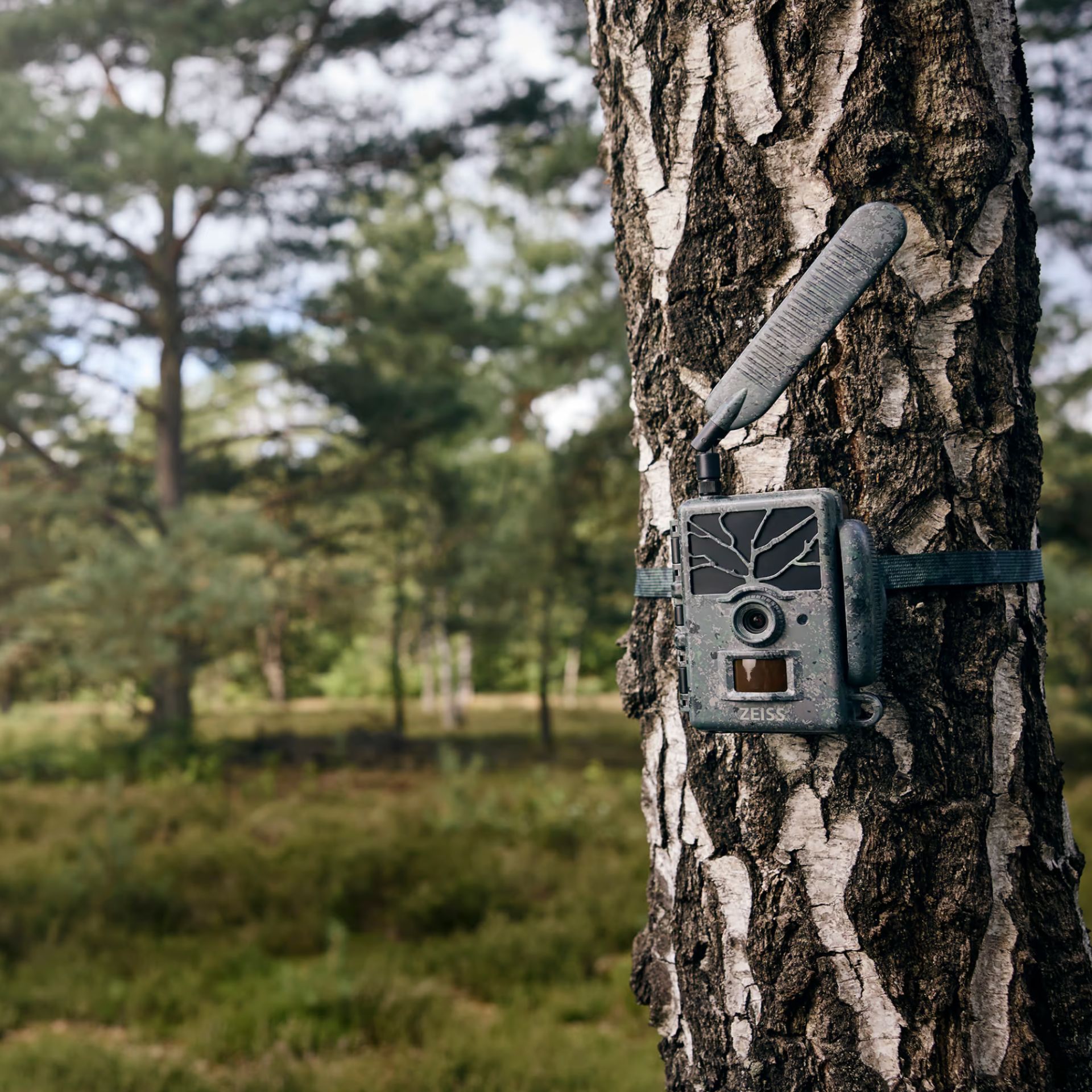 ZEISS Secacam 1 Wildkamera 4G LTE mit App-Anbindung, im Einsatz