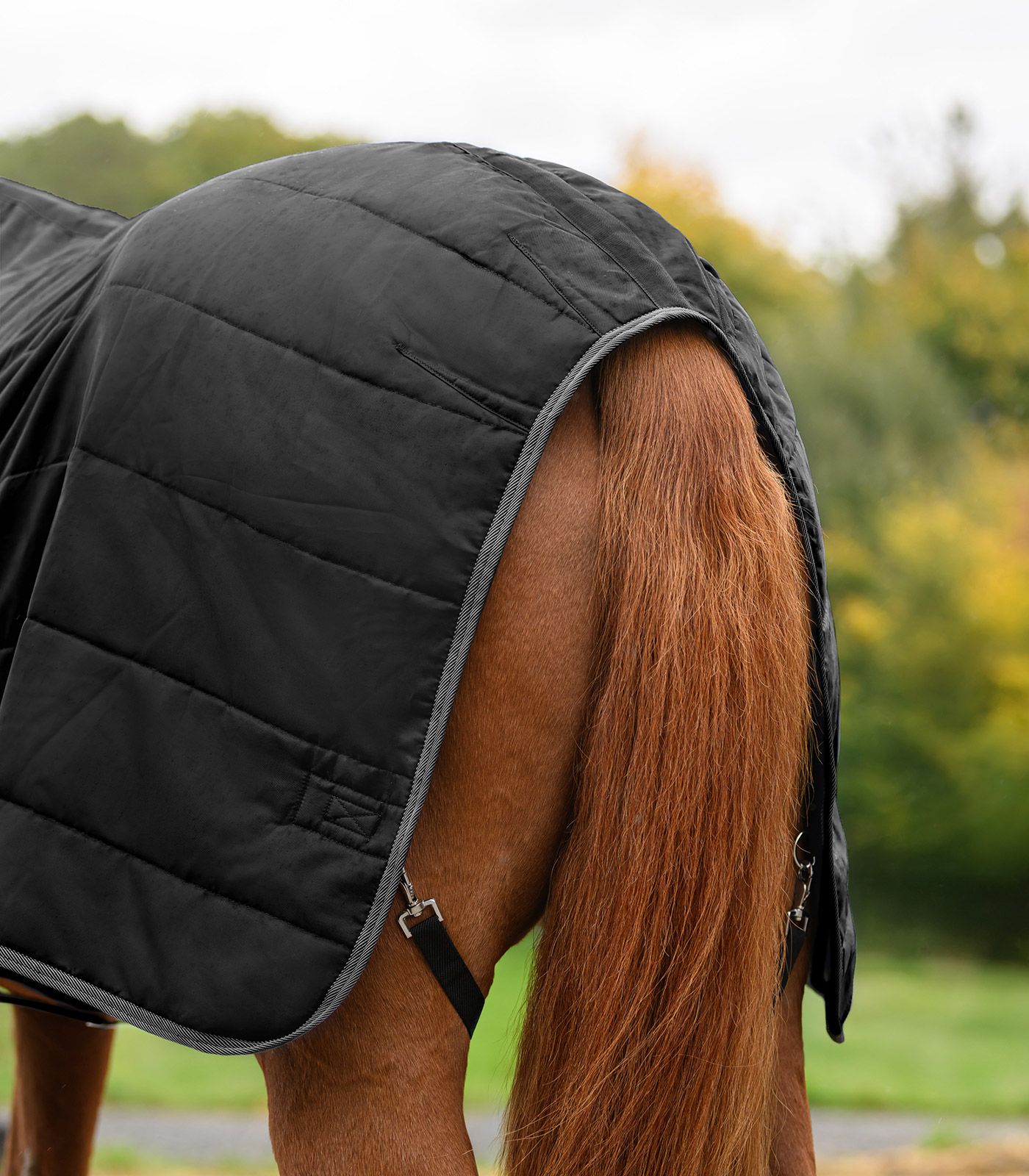 Waldhausen ECONOMIC Stalldecke 300 g, warme Thermofüllung für den Winter, schwarz