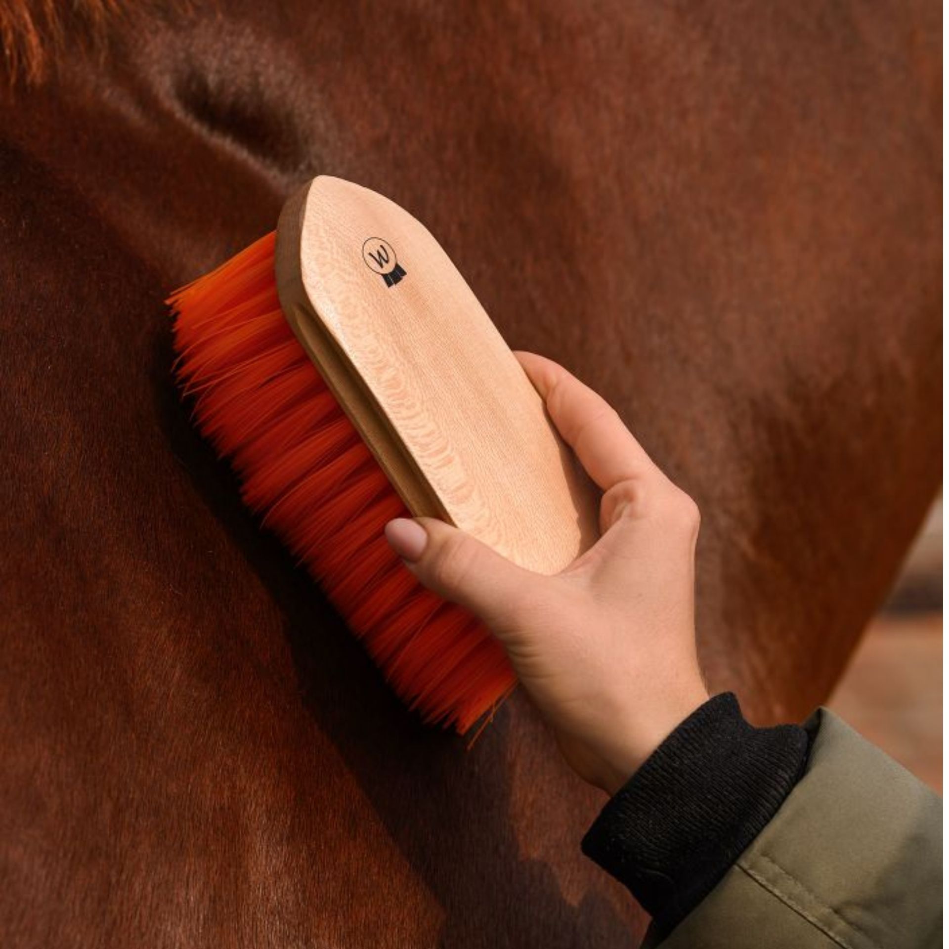 horsehair, brush, mane, grooming, orange-bristle